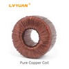 LVYUAN 3000 Watt Voltage Converter Transformer Heavy Duty Step Up/Down