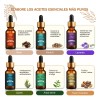 Kit De 12 Aceites Esenciales 100% Natural Para Difusor Y