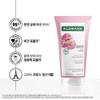 Chloran Klorane Peony Shampoo 400ml (2 bottles) + Scalp Pack