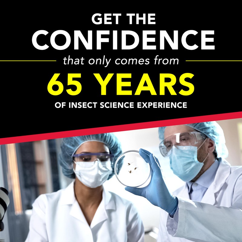 Raid Double Control Large Roach Baits (8 Count (Pack of