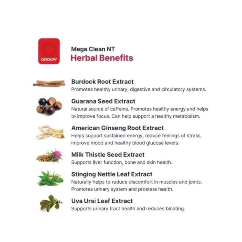 DETOXIFY Mega Clean NT Herbal Cleanse No Time No Problem