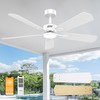 DAMINY 52 inch Ceiling Fan with Light,6CCT,5 Blade,Low Profile Ceiling