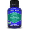 Organic, Eucalyptus Essential Oil – 100% Pure, Eucalyptus Oil, Radiata,