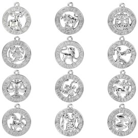 KitBeads 24pcs 12 Constellation Charms Tibetan Zodiac Sign Charms Filigree Vintage Twelve Constellation Charms for Jewelry Making Bracelets Bulk YH-FIND-CJC0017-13P
