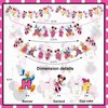 Seyal® Minie Mouse Theme Birthday Party Supplies