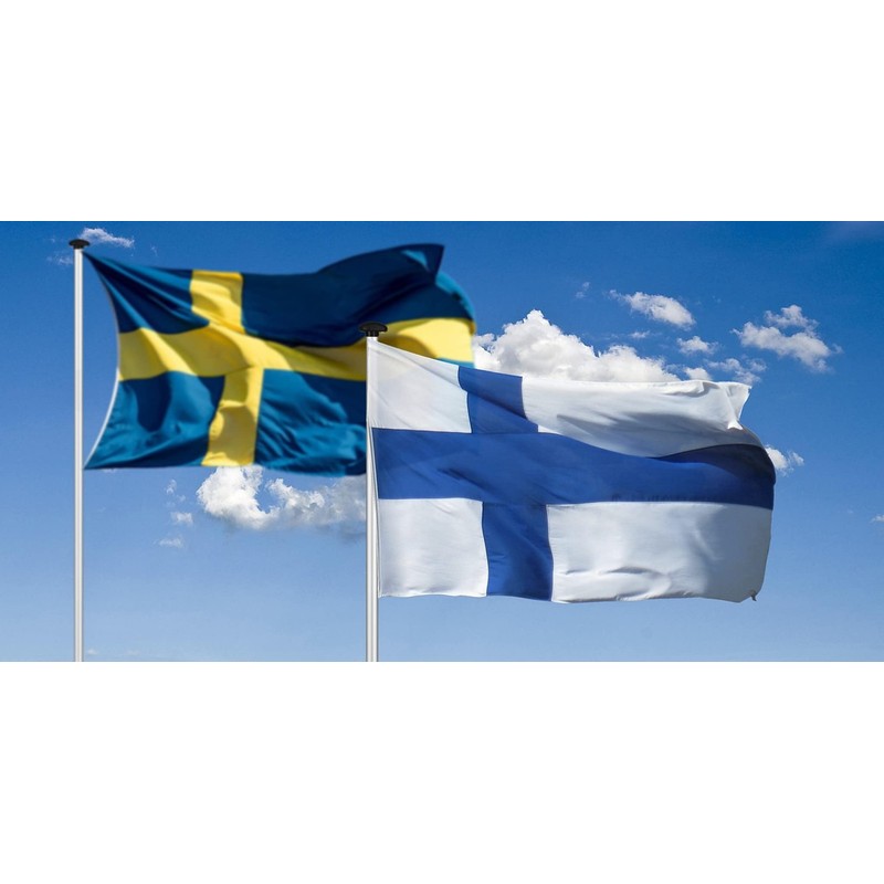 ANCONINE Sweden Flag 4x6 FT, Swedish National Flags with 2