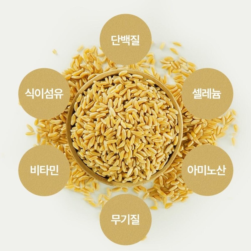 3 Kamut wheat enzymes / 카무트밀효소 3개