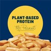 PLANTERS Dry Roasted Peanuts, Plant-Based Protein, Lightly Salted, Peanut Snack,