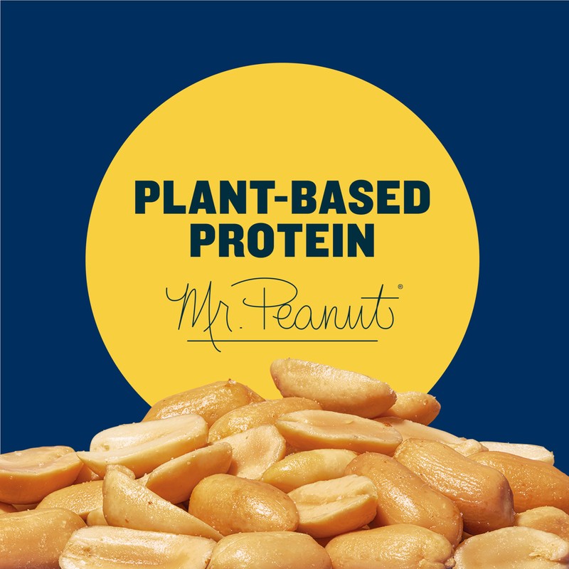 PLANTERS Dry Roasted Peanuts, Plant-Based Protein, Lightly Salted, Peanut Snack,