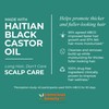 Kreyol Essence Scalp Care Let it Glow Shampoo - HBCO,