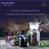 VY VedaYug Dried Lavender Flowers/Buds/Tea (50 gm)