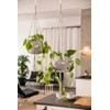 Lechuza Macrame Cotton Pure 120 Hanging Basket Black 13899