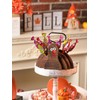 WODOHOLO Thanksgiving Decor - Wooden Turkey Lollipop Holder and Cake