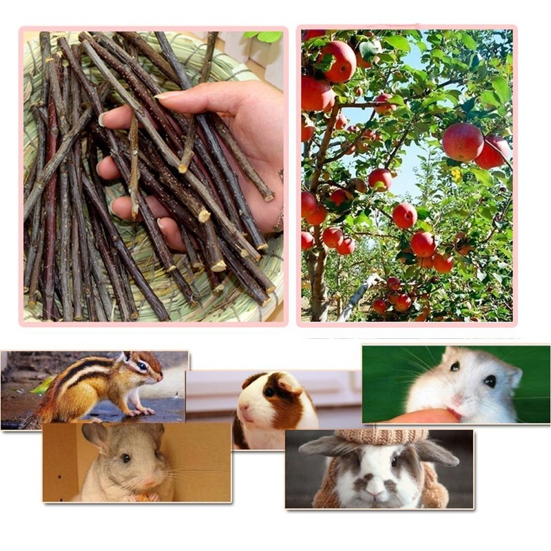 sharllen 200g (7.05oz) Natural Apple Sticks Wood Tree Branches Pet