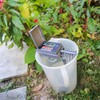 Aqualin Automatisches Mikro-Tropfbewässerungs-Kit Bewässerungs-Timer Bewässerungssteuerung Bewässerungssystem für Zimmerpflanzen, Grau