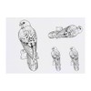 4 x 'Perched Kestrel' Temporary Tattoos - Water Resistant, Skin-Safe,
