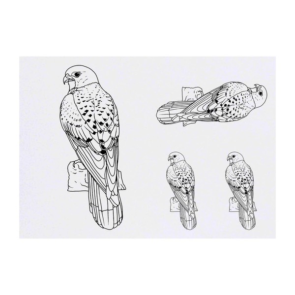 4 x 'Perched Kestrel' Temporary Tattoos - Water Resistant, Skin-Safe,
