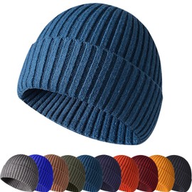 Baynetin Winter Beanie Hat, Unisex Stretchy Soft Cuffed Skullcap,Thermal Striped Roll up Edge Winter Hat (Cymbidium)