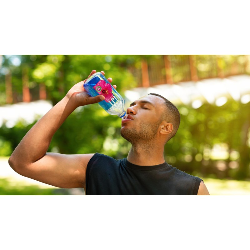 FIJI Natural Artesian Bottled Water 500 mL / 16.9 Fl