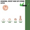 uxcell Hex Socket Bolts Kits (M6), Red Copper Cup-Shaped Head