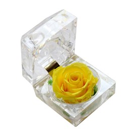Rosa Eterna De Flores Conservadas Con Caja De Regalo Para Mujer - Regalo Ideal Para San ValentíN, CumpleañOs Y Aniversarios (Amarilla)