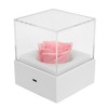 Rose Night Light Romantic Small USB Charging Soft Brightness Decoration