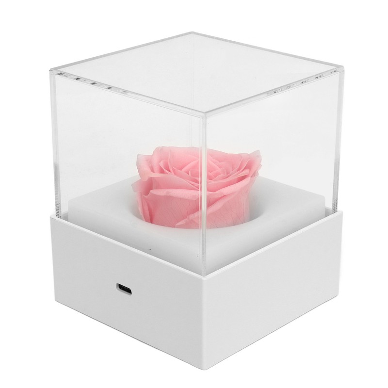 Rose Night Light Romantic Small USB Charging Soft Brightness Decoration