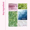 Cha&Park [차앤박]애프터 레이 톤업 프로텍션 선 50ml [Cha and Park]