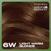 Clairol Natural Instincts Demi-Permanent Hair Dye, 6W Light Warm Brown