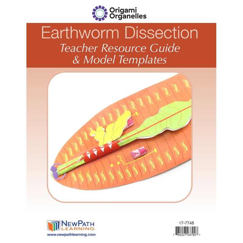 NewPath Earthworm Dissection 3-D Model Making Kit - Individual Student