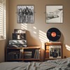 Modern Metal Vinyl Record Wall Mount Shelf (2 Pack), Matte