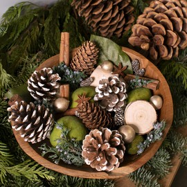 ANDALUCA Evergreen Pine Scented Potpourri | Made in California | 20 oz Bag + Fragrance Vial