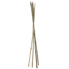 Farm Plastic Supply - Bamboo Garden Stakes - Bambo Sticks, Bamboo Plant Stakes for Outdoor Plants, Plant Support Stakes for Indoor Plants (7 Foot, 100)