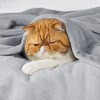 Bedsure Fleece Throw Blanket for Sofa - Soft Cosy Fluffy