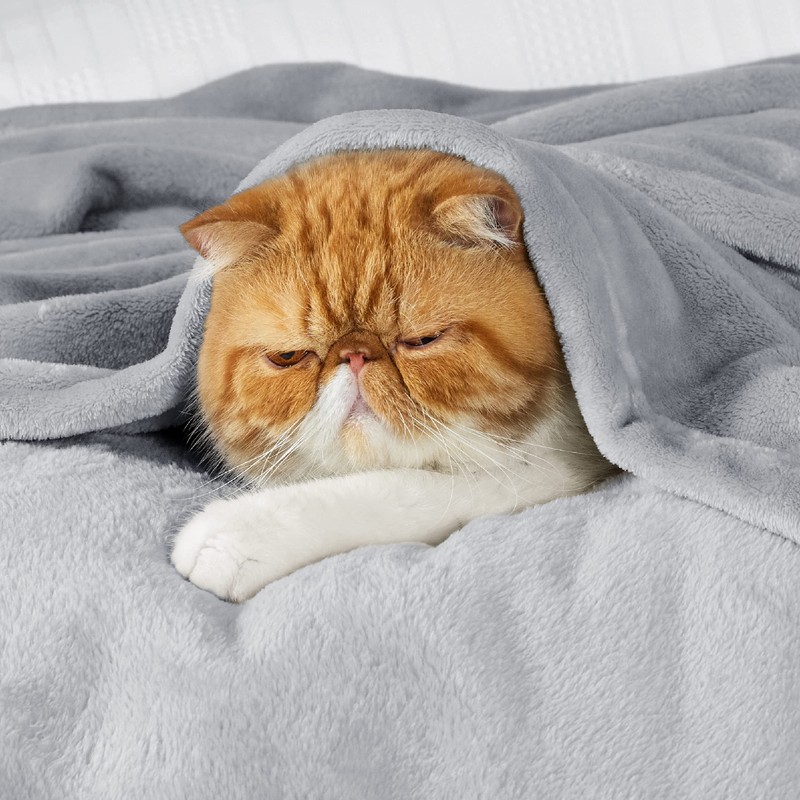 Bedsure Fleece Throw Blanket for Sofa - Soft Cosy Fluffy