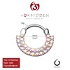 Forbidden Body Jewelry 16g 8mm Surgical Steel Double Lined CZ