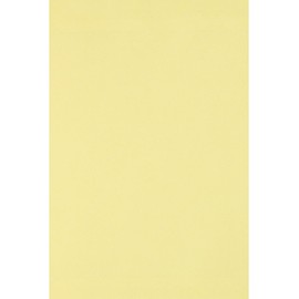 Netuno Circolor Camomile Coloured Card A4 Yellow 210 x 297 mm 160 g A4 Yellow Double-Sided for Painting Writing Drawing Paper Sketch Paper Printer Paper Coloured Eco Cardboard 25 Sheets