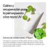 Mixsoon Centella Sun Cream Spf50 Bloqueador Protector Solar