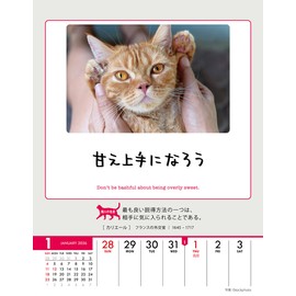 Wing Life is Nyan! CL-384 Tabletop/Wall Hanging, 2026 Calendar, 7.1 x 5.5 inches (18 x 14 cm)