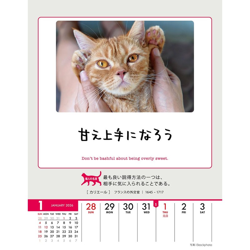 Wing Life is Nyan! CL-384 Tabletop/Wall Hanging, 2026 Calendar, 7.1