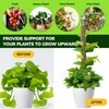 SOIL TENDERS Moss Pole for Plants,6 Pack 40cm Monstera Plant