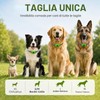 Collare Antiparassitario Cani Naturale - Ciondolo Repellente Pulci