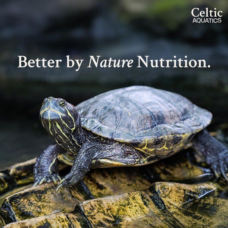 Turtle Food 1 Litre Tub (240g) | Floating Terrapin Food