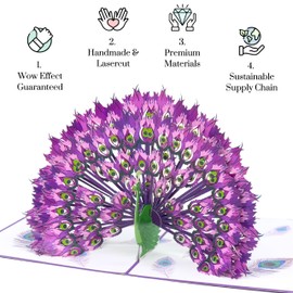 Magic Moments® Royal Feathers Pop Up Card – Handmade Birthday Card for Women & Men – Anniversary Card, Get Well, Congratulations Card – Peacock 3D Greeting Card – Birthday Card for Someone Special