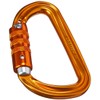 Petzl SM'D Carabiner - Versatile, Lightweight, Compact, D-Shaped Locking Carabiner