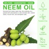 Neem Oil 2.02 fl.oz, Neem Oil for Skin and Hair,