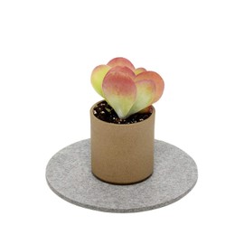 Graf Lantz Hot Pot Trivet, 100% Merino Wool Felt, Hot Pad for Table or Countertop, Great for Hot Skillets