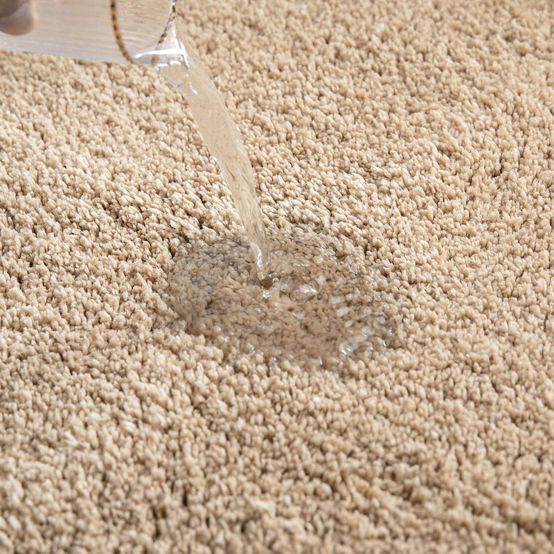 MIULEE Bathroom Rug, Bath Mat, Non-Slip, Washable, Bed Rug, Absorbent,