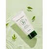 [2 pieces possible] Cleansing Foam 150ml (Carrot Water parsley Acorn)