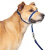 PupSensei Headcollar for Dogs, Extra Soft Padded, Reflective, No Pull